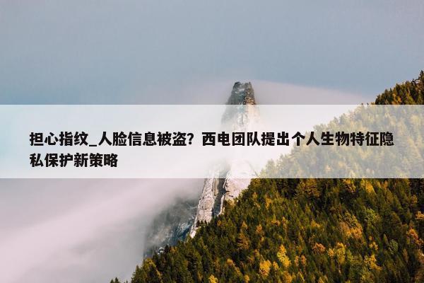 担心指纹_人脸信息被盗？西电团队提出个人生物特征隐私保护新策略