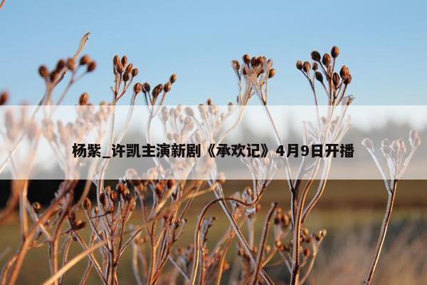 杨紫_许凯主演新剧《承欢记》4月9日开播