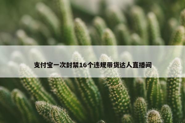 支付宝一次封禁16个违规带货达人直播间