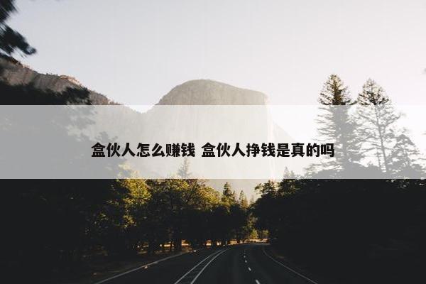 盒伙人怎么赚钱 盒伙人挣钱是真的吗