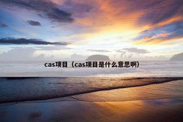 cas项目（cas项目是什么意思啊）