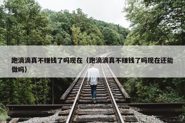 跑滴滴真不赚钱了吗现在（跑滴滴真不赚钱了吗现在还能做吗）