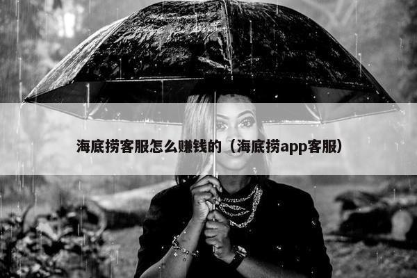 海底捞客服怎么赚钱的（海底捞app客服）