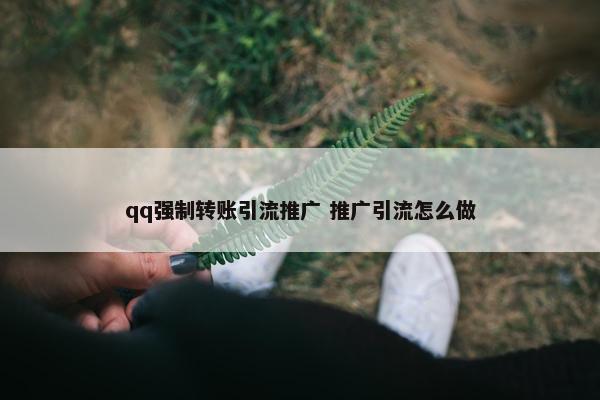 qq强制转账引流推广 推广引流怎么做