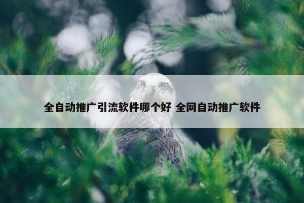 全自动推广引流软件哪个好 全网自动推广软件