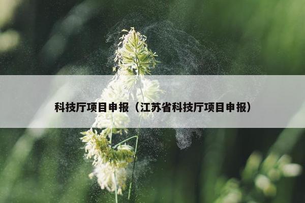 科技厅项目申报（江苏省科技厅项目申报）