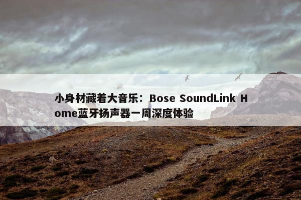 小身材藏着大音乐：Bose SoundLink Home蓝牙扬声器一周深度体验