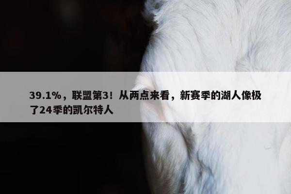 39.1%，联盟第3！从两点来看，新赛季的湖人像极了24季的凯尔特人