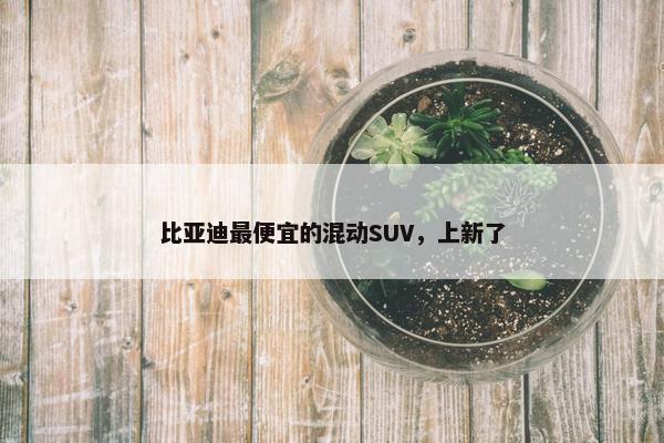 比亚迪最便宜的混动SUV，上新了