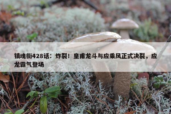 镇魂街428话：炸裂！皇甫龙斗与应乘风正式决裂，应龙霸气登场