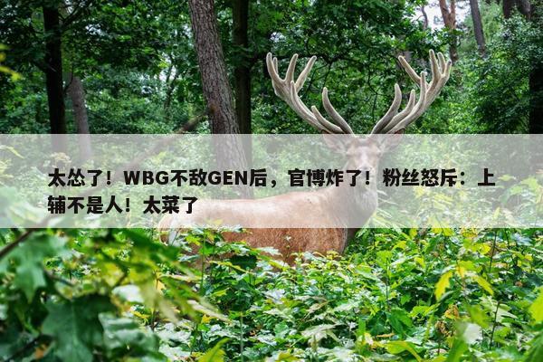 太怂了！WBG不敌GEN后，官博炸了！粉丝怒斥：上辅不是人！太菜了