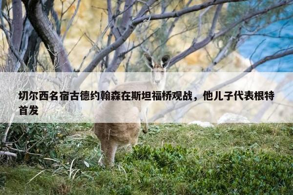 切尔西名宿古德约翰森在斯坦福桥观战，他儿子代表根特首发