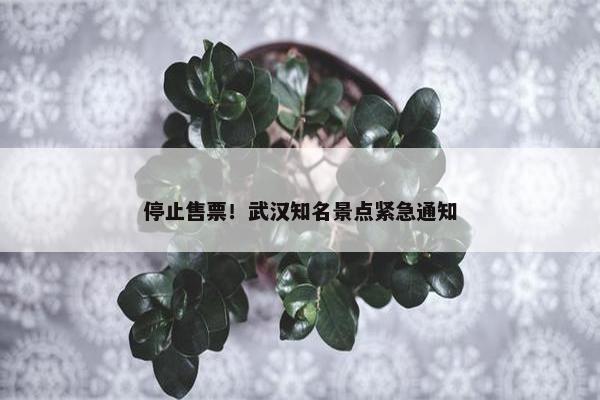 停止售票！武汉知名景点紧急通知