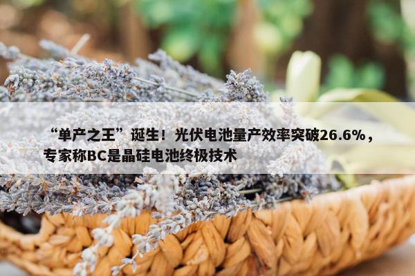 “单产之王”诞生！光伏电池量产效率突破26.6%，专家称BC是晶硅电池终极技术