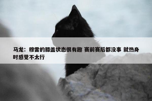 马龙：穆雷的膝盖状态很有趣 赛前赛后都没事 就热身时感觉不太行