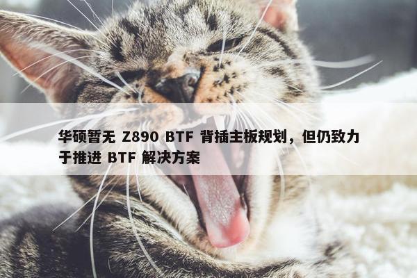 华硕暂无 Z890 BTF 背插主板规划，但仍致力于推进 BTF 解决方案