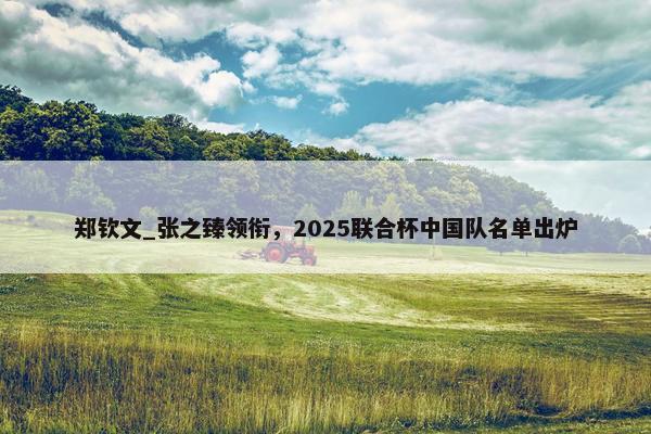 郑钦文_张之臻领衔，2025联合杯中国队名单出炉