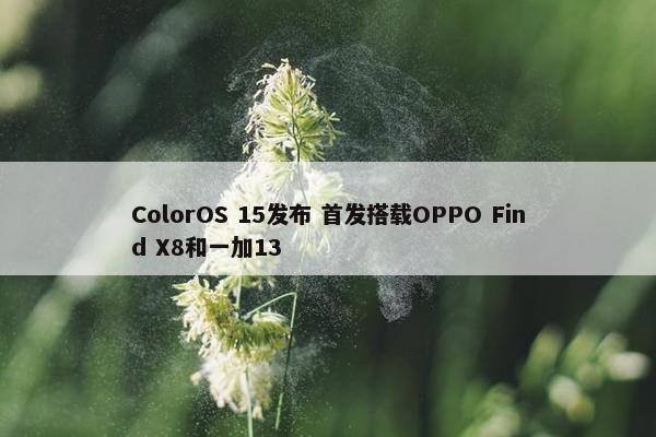 ColorOS 15发布 首发搭载OPPO Find X8和一加13