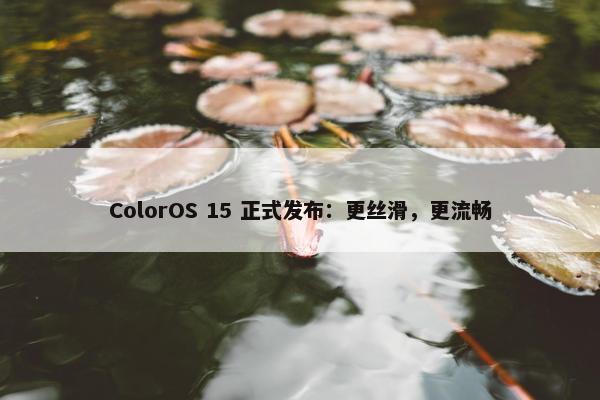 ColorOS 15 正式发布：更丝滑，更流畅