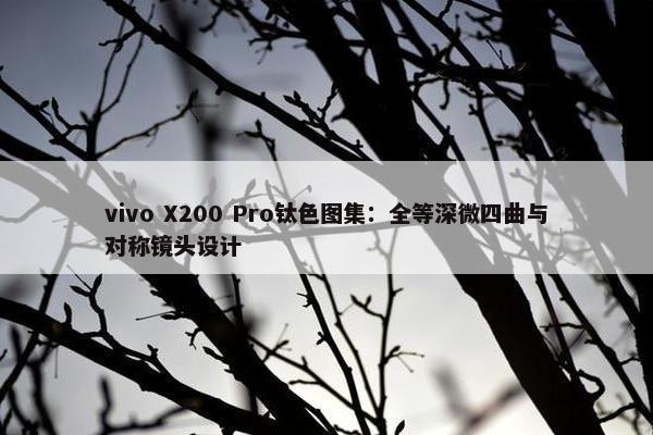 vivo X200 Pro钛色图集：全等深微四曲与对称镜头设计