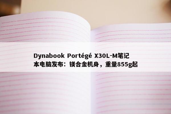 Dynabook Portégé X30L-M笔记本电脑发布：镁合金机身，重量855g起