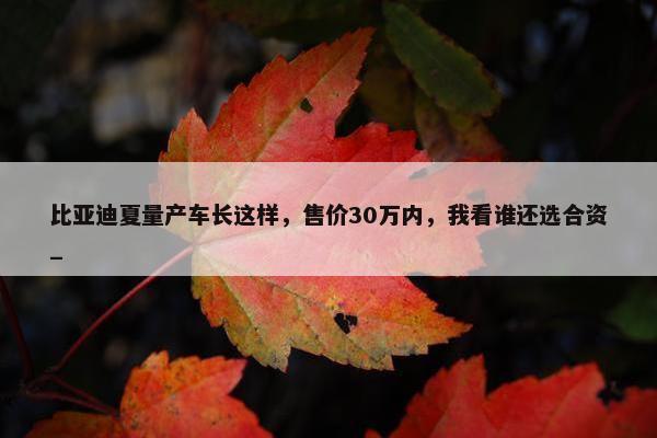 比亚迪夏量产车长这样，售价30万内，我看谁还选合资_