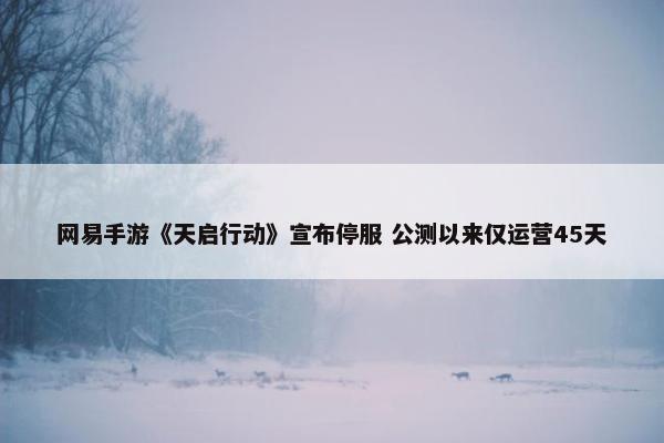 网易手游《天启行动》宣布停服 公测以来仅运营45天